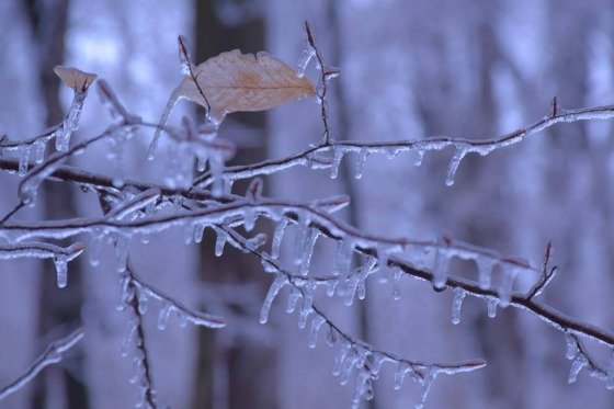 Ice Hiking!