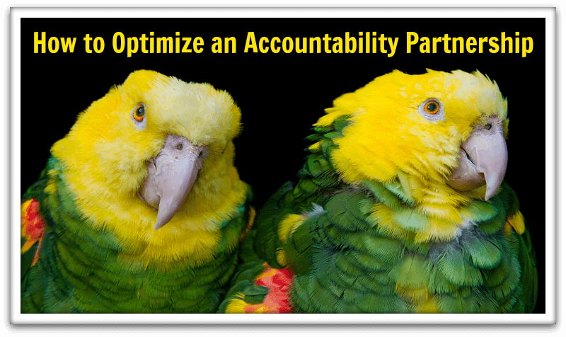 How to Optimize an Accountability Partnership