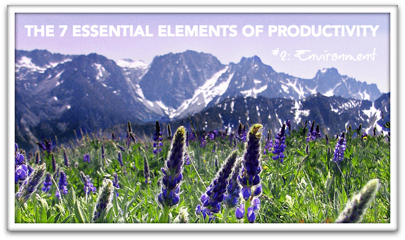 #2: Environment