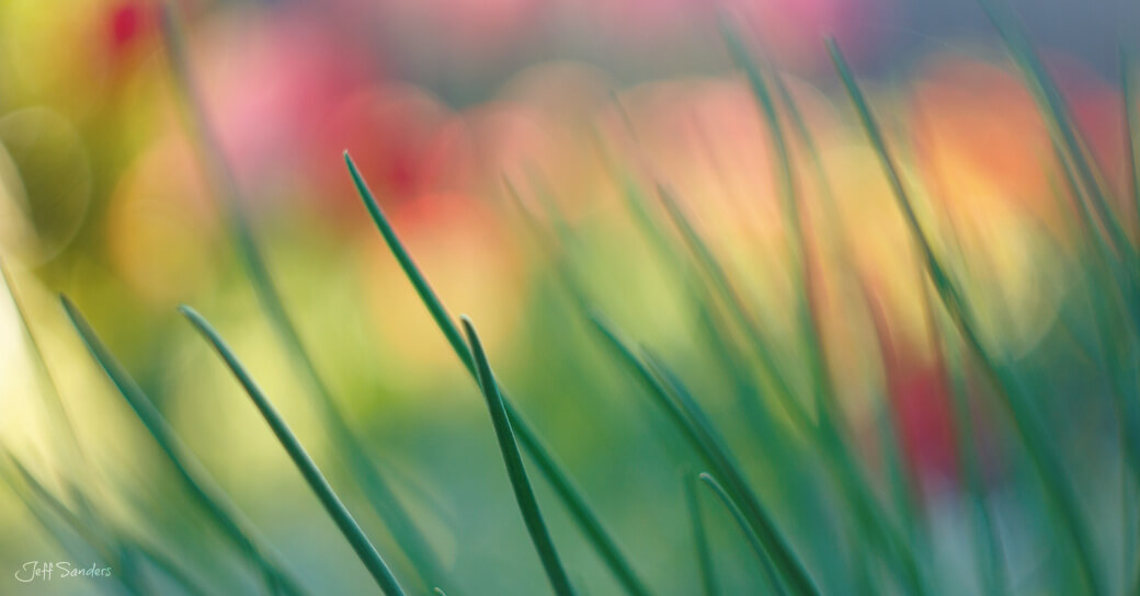 Organize Everything Better: Spring Cleaning 2.0