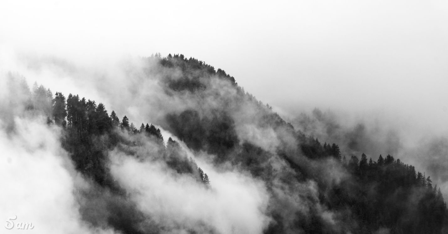 I'm Not an Addict, but That's a Lie: My Story of Addiction, Habits, and Honesty