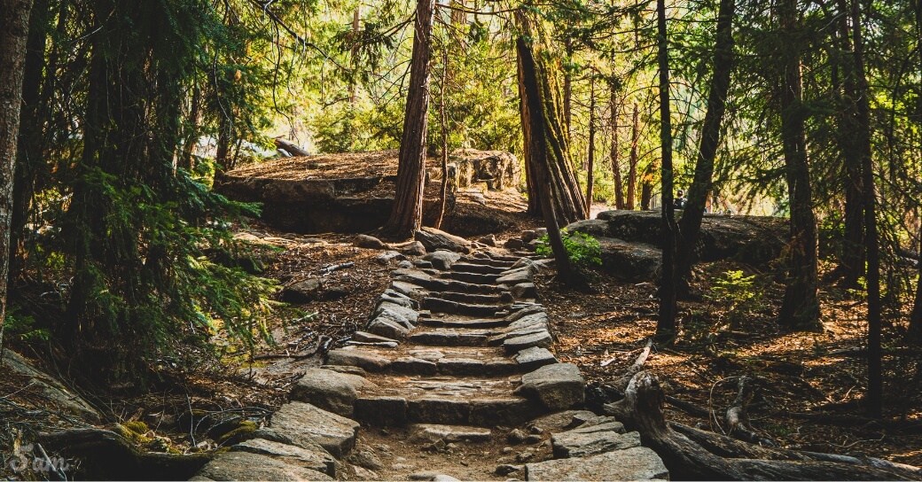 Focus on Where You're Deeply Excited to Go, Not on What You're Afraid Might Happen